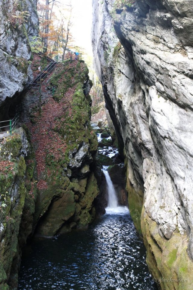 20101030_088